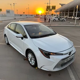 Toyota Corolla 2020