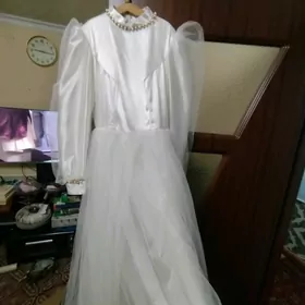 koynek fata