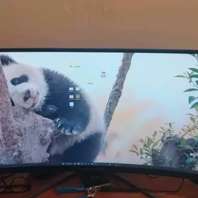 monitor