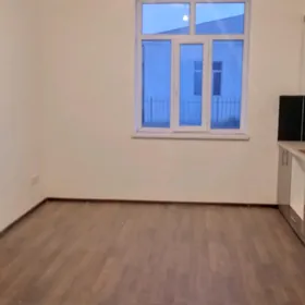 satlyk jay