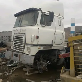 Man TGM 1981