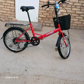 tigir 20 lik yapon