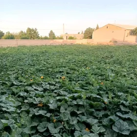 yer satlik 16 sotik sawat etr