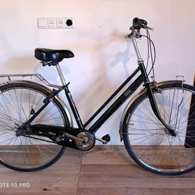 Yapon velik 27
