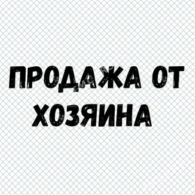 Квартира 27 школа