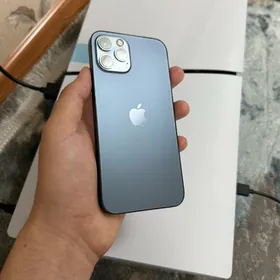 iPhone 12pro