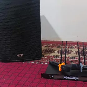 Sinhayzer mikrafon