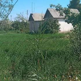 дача