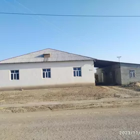 Jaý pylan döwik baha