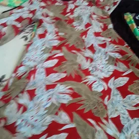 Koýnek