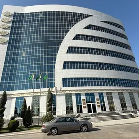 satlyk ofis