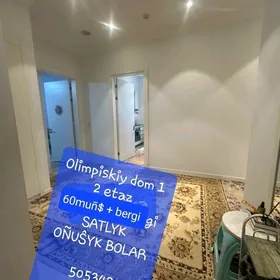 satlyk jaý