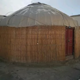 Gara oý