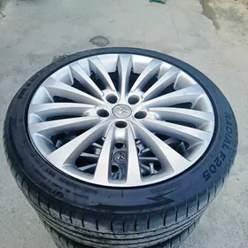 19 limited disga pakrysga