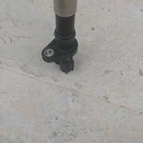 kolo datçik