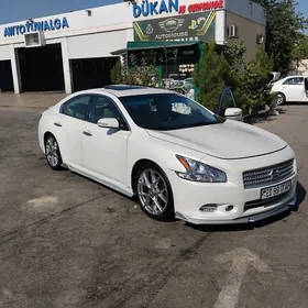 Nissan Maxima 2010