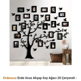 maşgala agajy