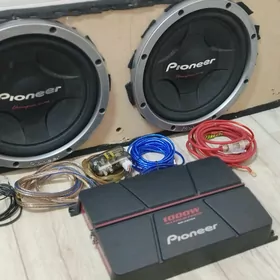 Pioneer Kalonka, Usulitel