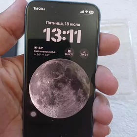 13 mini