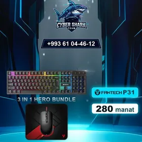 Fantech P31