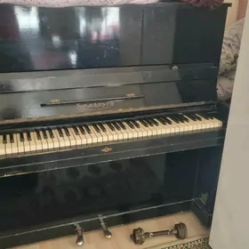 pianina