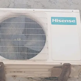 haisenis