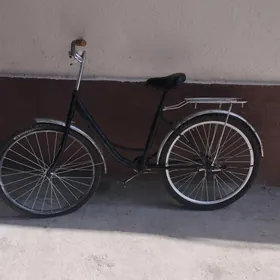 26lyk tigir