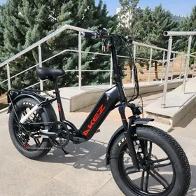 TIGIR SALANJAK BASEYKA MATOR