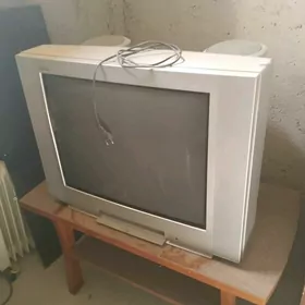 Telewizor
