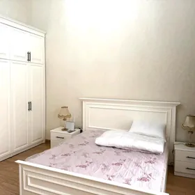Arenda Mir7 3kom