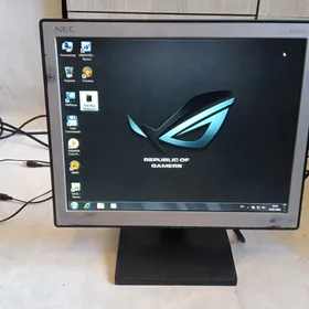 Nec 15 Lyk manitor