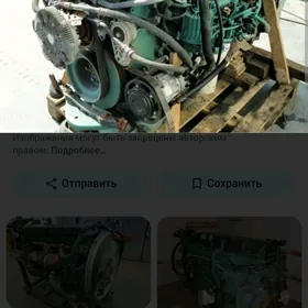 матор морда волва