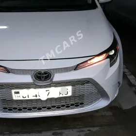 woditl gerekmi sürji