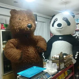 Panda