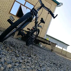 welisopet