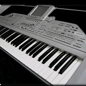 Korg pa 1X pro