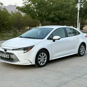 Toyota Corolla 2020