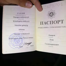 gapjyk pasport
