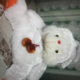 Mişka