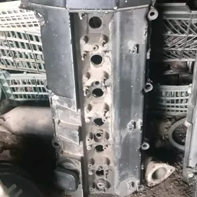 bez wanus kriska