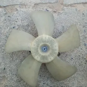 Lopus