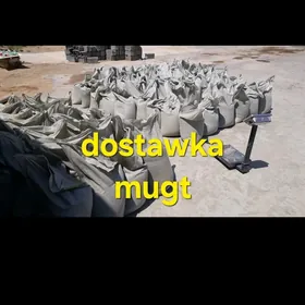 Sement mity