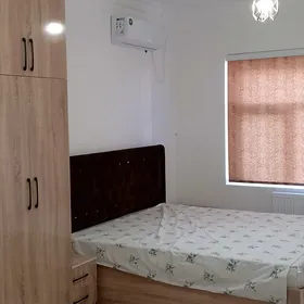  Arenda kateş 