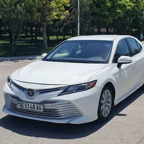 Toyota Camry 2019