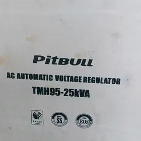 PITBULL TOK KOPELDYÄN ENJAMLAR