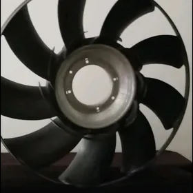 lopus