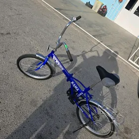 TIGIR KAMA 20 LIK