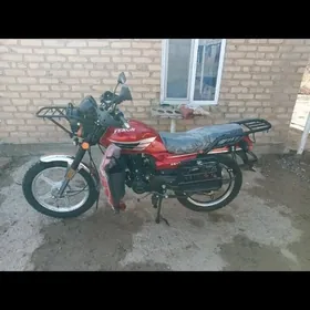 Fekon FK150-8G 2022