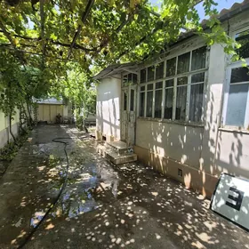 Satlyk Ak Altyn 4.5 sotuk
