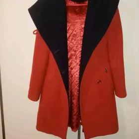 Poltolar